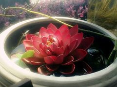 -捌楼咖啡书吧(南开店)
