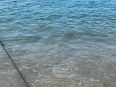 -亚龙湾海底世界