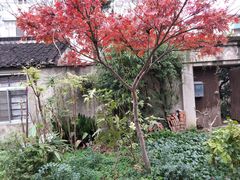 -江苏省黄埭中学