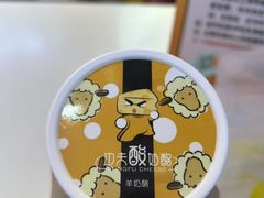 -功夫酸奶酪