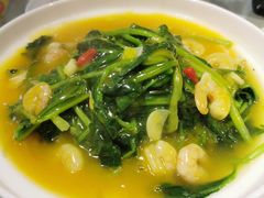 金汤养生菠菜-以前的小酒馆(中山广场店)