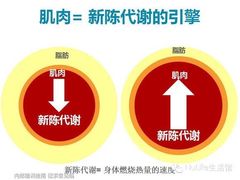 -上海跨国采购会展中心