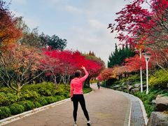 -大宁灵石公园西门票处