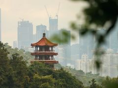 -深圳仙湖植物园