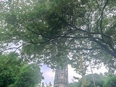 -上海佘山国家森林公园天马山园