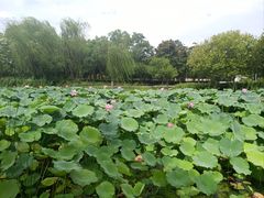 -石湖景区
