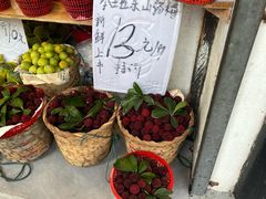 -葑门横街