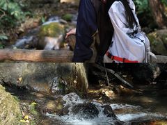 -莫里热带雨林景区