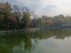 -莲湖公园