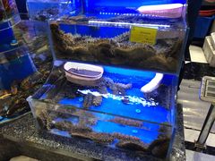 -新海渔港·胶东海鲜家常菜·家宴(奥体中心店)