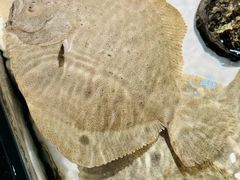 -万龙洲海鲜(南新仓店)