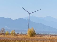 -野鸭湖国家湿地公园