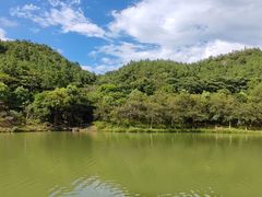 -广州白江湖森林公园