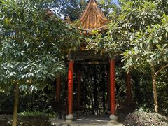 -洛龙公园
