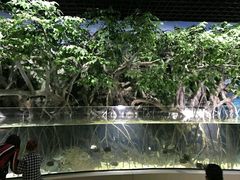 -福州罗源湾海洋世界旅游区