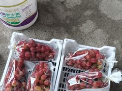 -马陆小张葡萄园农家乐