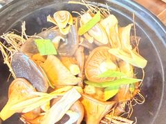 -梧桐舍那(梧桐山店)