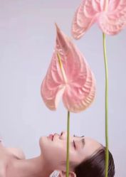 点击看大图 -挪娅婚纱摄影皇家会所
