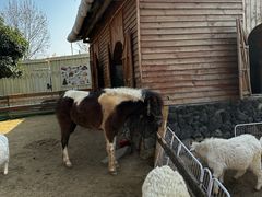 -HERRE·FARM 赫尔露营农场·团建聚会包场