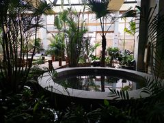 -白桦林温泉谷