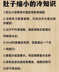 -Fundi张玉珊修身堂·indiba·BTL科技瘦身
