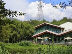 -西湖风景区-江洋畈生态公园