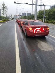 -蚂蚁婚车