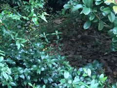 -活鱼村·老陈记粉店