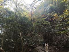 -莫干山风景区