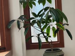 -PUZZLE COFFEE 拼图咖啡