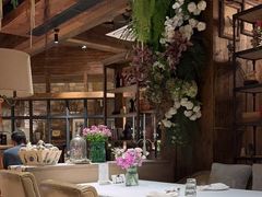 -一棵树·意大利西餐厅One Tree(新城店)