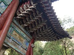 -藏山旅游风景区