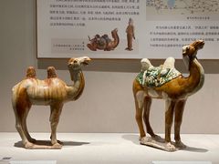-深圳博物馆(古代艺术馆)