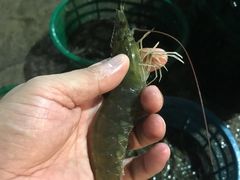 -海峡水产品交易中心(海鲜交易区)