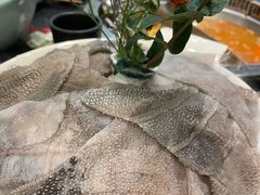-小王少龙火锅(沙南街店)