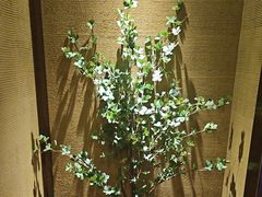 -千代武日本料理(爱建店)