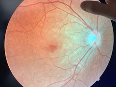 -宝岛眼镜(齐齐哈尔万达店)