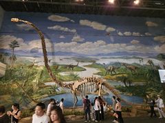 -自贡恐龙博物馆