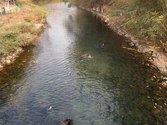 -长白岛森林公园