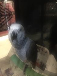 -周忆刺青原创设计定制