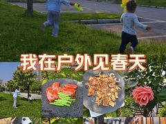 -洋湖国家湿地公园
