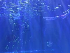 -华夏文旅西安度假区