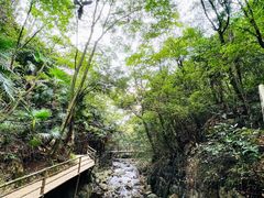 -东天目山风景区