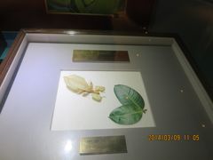 IMG_2811-上海昆虫博物馆