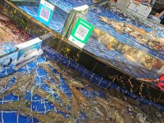 水产区-三亚新鸿港水果一级批发市场
