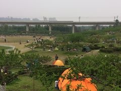 -秀丽东方