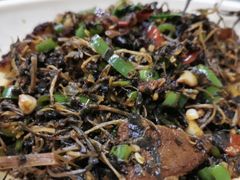 马齿苋菊皮肉-农耕记·湖南土菜(halo广场店)