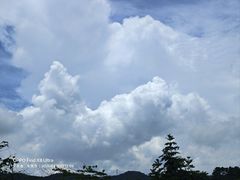 -大屏嶂森林公园