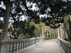 -叶家花园
