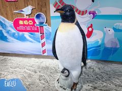 -合肥海洋世界